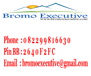 Bromo Executive